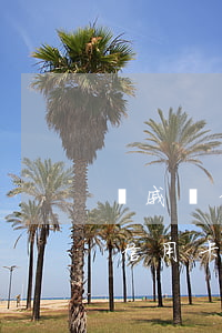 親戚辦信用卡不還錢怎么辦(如何拒絕親戚辦信用卡)