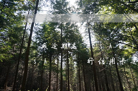 親戚逾期建設(shè)銀行信用卡(建設(shè)銀行信用卡逾期會(huì)被家訪嗎)