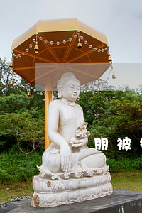親朋被抓應(yīng)該怎么辦