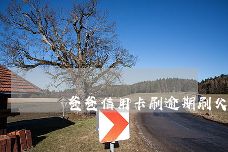親爸爸信用卡刷逾期(刷父親的信用卡)