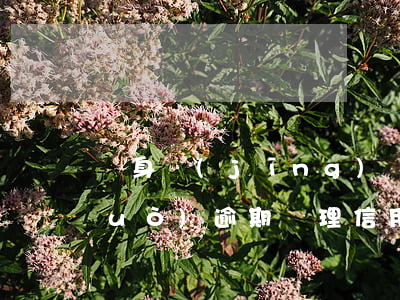 親身經(jīng)歷信用卡逾期(有過(guò)逾期辦理信用卡)