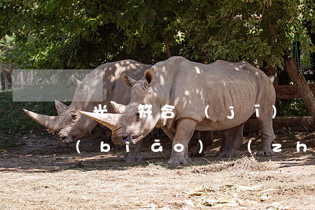 觀光車符合機(jī)動(dòng)車標(biāo)準(zhǔn)時(shí)出事故  按機(jī)動(dòng)車事故原則處理