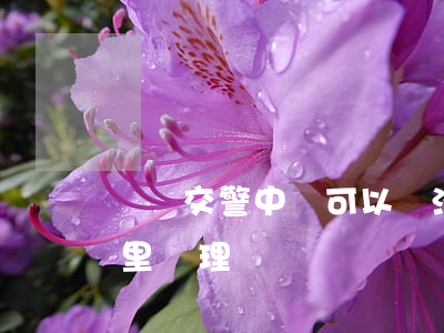 觀瀾交警中隊可以違法處理嗎(觀瀾違章在哪里辦理)