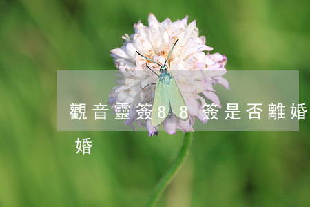 觀音靈簽88簽是否離婚(觀音靈簽41求離婚)
