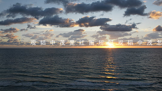 观韬中茂是红圈所吗(观韬中茂怎么样)