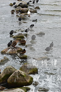 觉得律师费收费不合理怎么办(律师收费不合理怎么投诉)
