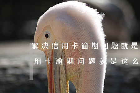 解决信用卡逾期问题就是这么简单-解决信用卡逾期问题就是这么简单吗