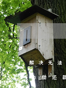 解决无法偿还借款的问题：如何应对借款人无力偿还款项的情况