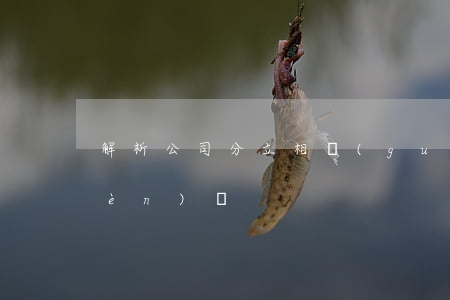 解析公司分立相關(guān)法律問(wèn)題