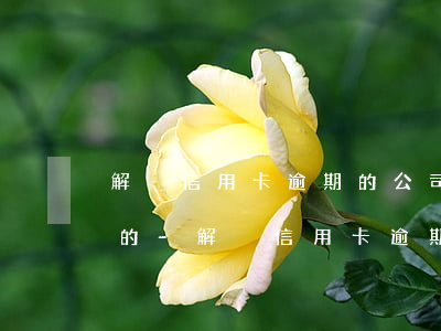 解決信用卡逾期的公司怎么收費(fèi)的-解決信用卡逾期的公司怎么收費(fèi)的啊
