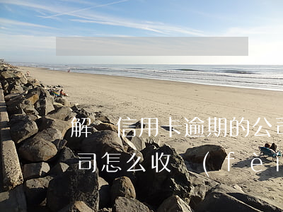 解決信用卡逾期的公司(解決信用卡逾期的公司怎么收費(fèi))