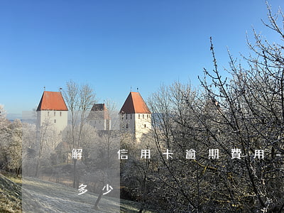 解決信用卡逾期費用-解決信用卡逾期費用多少