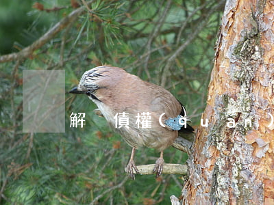 解決債權(quán)債務(wù)流程