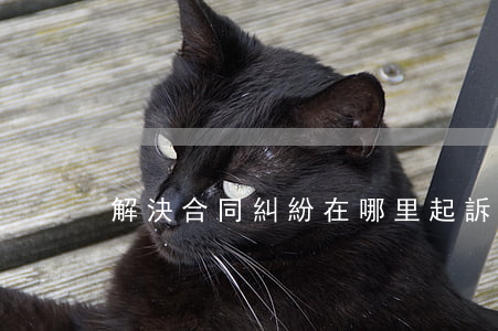 解決合同糾紛在哪里起訴