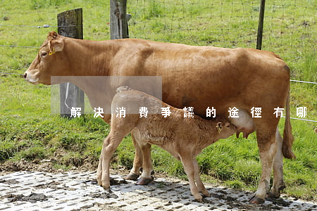 解決消費爭議的途徑有哪幾種