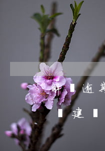 解決逾期本金5萬元問題：詳細(xì)步驟與建議