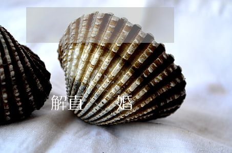 解直錕離婚過嗎