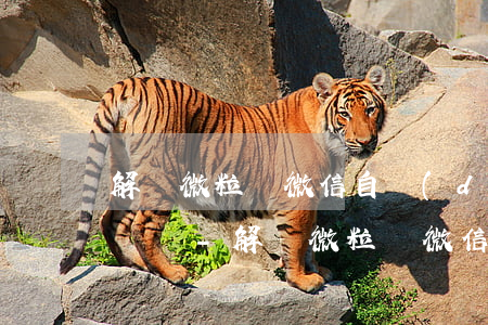 解約微粒貸微信自動(dòng)還款有影響嗎-解約微粒貸微信自動(dòng)還款有影響嗎安全嗎