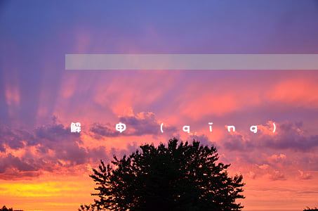 解約申請(qǐng)書