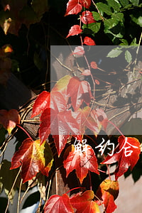 解约合同通知函怎么写(解约告知函范文)