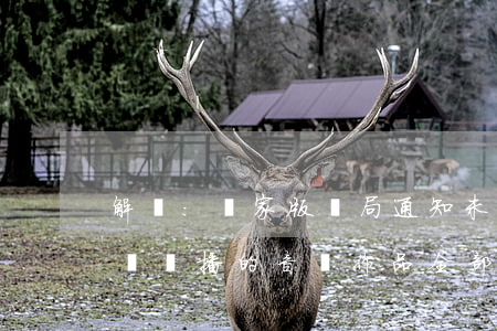 解讀:國家版權局通知未經(jīng)授權傳播的音樂作品全部下線