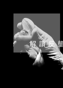 解讀反壟斷法修正案法規(guī)