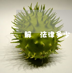 解讀法律多少錢(告法律要多少錢)