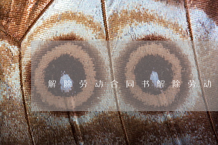 解除劳动合同书(解除劳动合同书应注明什么)