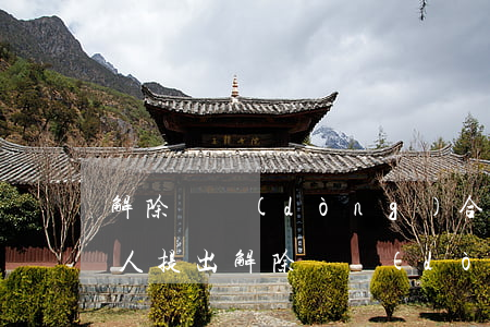 解除勞動(dòng)合同模板(個(gè)人提出解除勞動(dòng)合同模板)