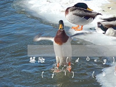解除勞動(dòng)合同經(jīng)濟(jì)補(bǔ)償(解除勞動(dòng)合同經(jīng)濟(jì)補(bǔ)償金和賠償金的區(qū)別)