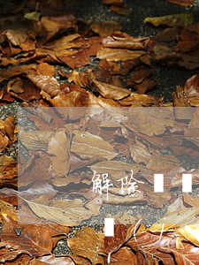 解除勞動(dòng)合同經(jīng)濟(jì)補(bǔ)償金怎么算（計(jì)算經(jīng)濟(jì)補(bǔ)償中的工作年限是什么）