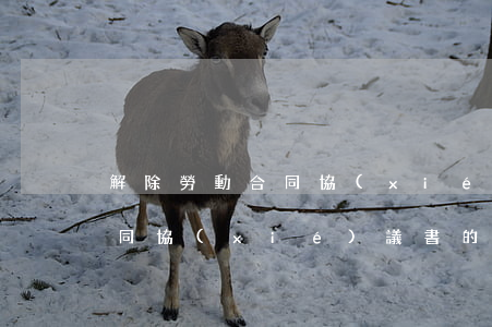解除勞動合同協(xié)議書(解除勞動合同協(xié)議書的作用)