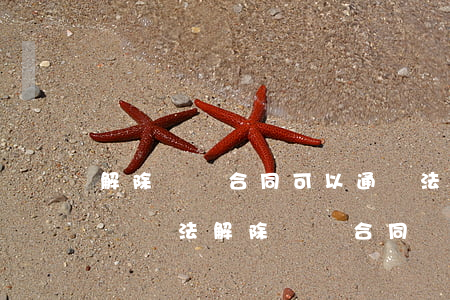 解除勞動合同可以通過法院嗎(根據(jù)勞動法解除勞動合同)