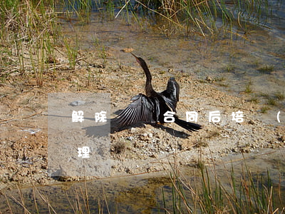 解除勞動合同后培訓(xùn)費用如何處理
