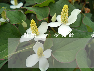 解除勞動合同的賠償金怎么計(jì)算