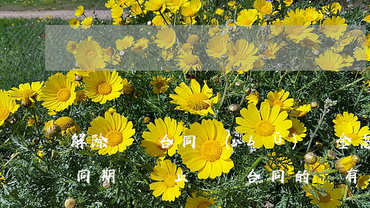 解除勞動合同補(bǔ)償金怎么算（勞動合同期滿，終止勞動合同的，會有三種情形(勞動合同法第四十六條第五項(xiàng))）