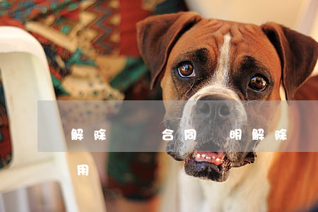 解除勞動合同證明(解除勞動合同證明有什么用)