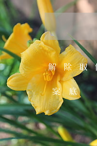 解除取保候審算有案底么(取保候審怎么消除案底)