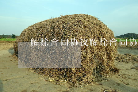 解除合同协议(解除合同协议书证明怎么开)