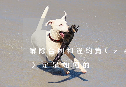解除合同和違約責(zé)任的規(guī)定是如何的