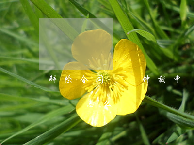 解除合同糾紛仲裁申請書怎么寫(撤銷仲裁申請書怎么寫)