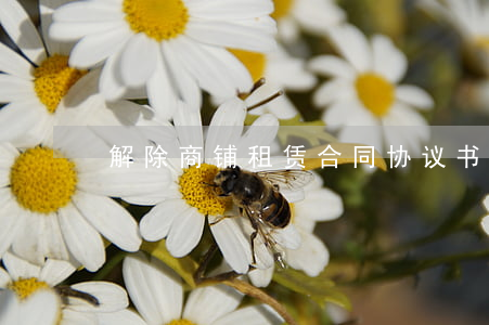 解除商铺租赁合同协议书
