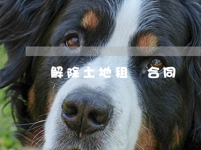 解除土地租賃合同