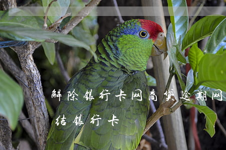 解除银行卡网商贷逾期(网商贷不还会不会冻结银行卡)