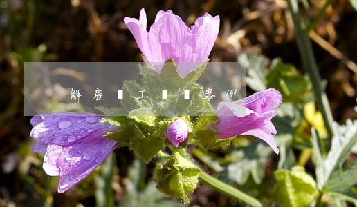 解雇員工賠償案例