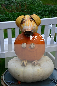 触宝白条逾期