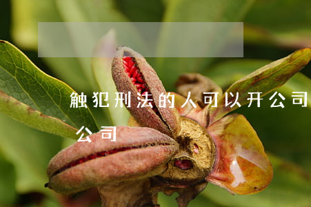 触犯刑法的人可以开公司吗(受过刑罚不能开公司)