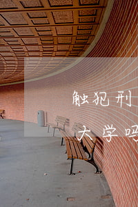 触犯刑法还可以高考吗(高中刑事犯罪还能考大学吗)
