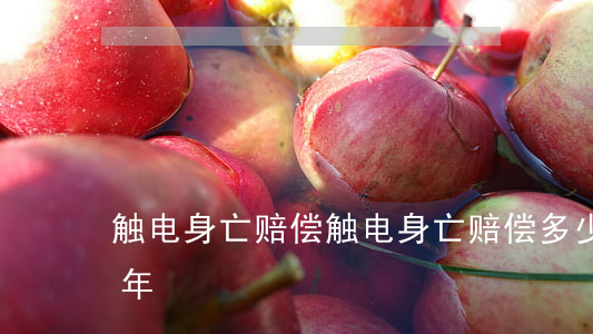 触电身亡赔偿(触电身亡赔偿多少钱2021年)