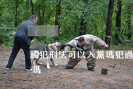 觸犯刑法可以入黨嗎(犯過刑事案件可以入黨嗎)